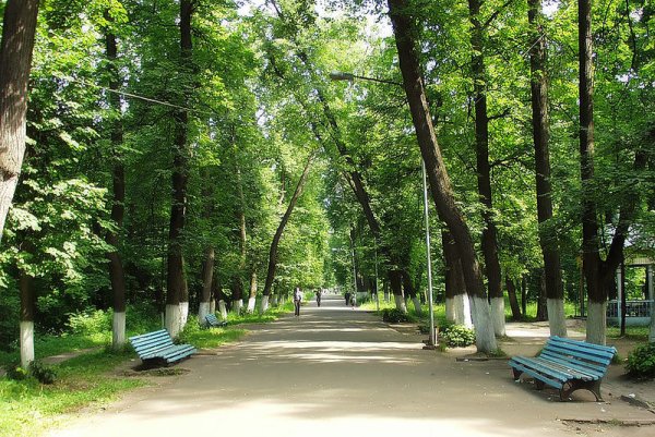 Выкса городской парк