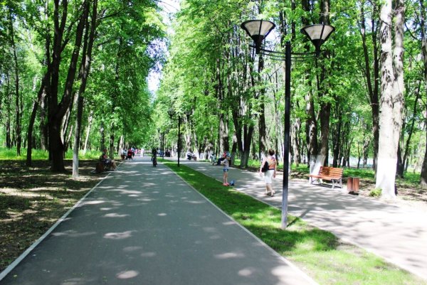 Щелково парк культуры