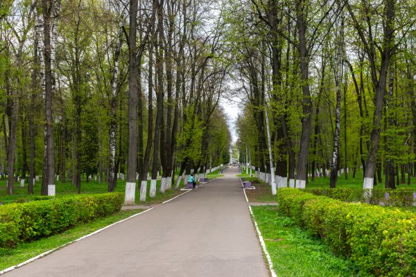 Брест городской парк