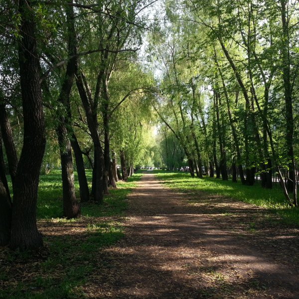 Сквер Мотовилиха Пермь