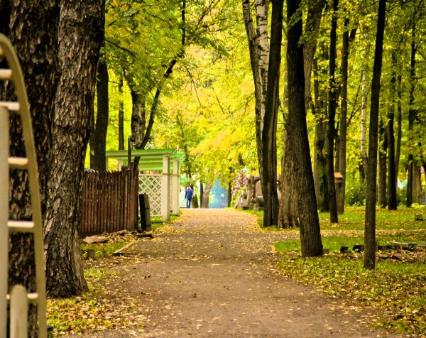 Парк Горького Пермь