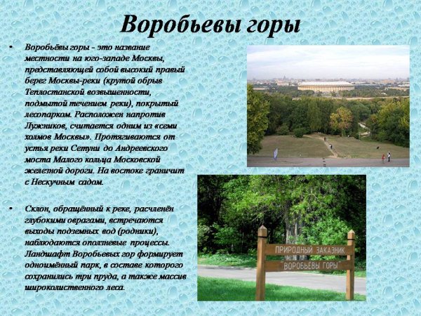 Воробьевы горы доклад