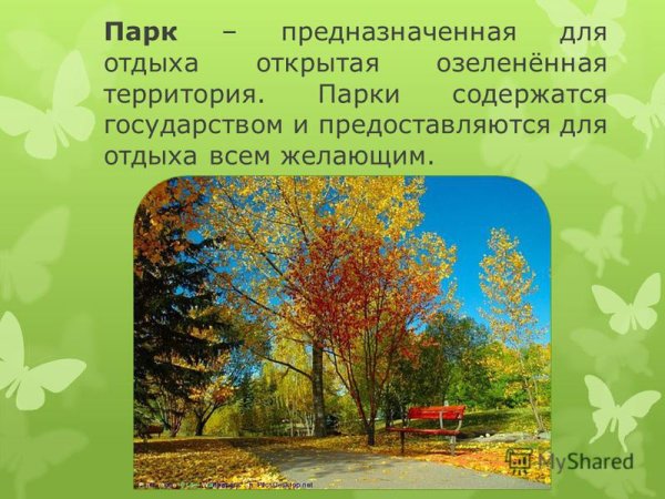 Презентация парка