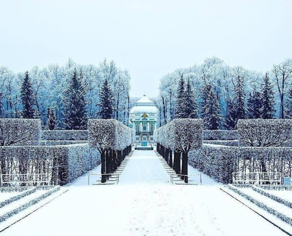 Екатерининский парк Царское село зимой