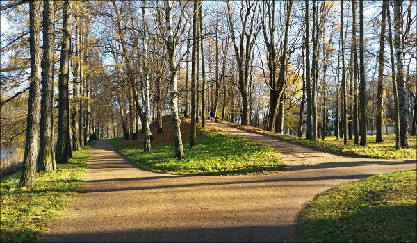 СПБ Пушкин Нижний парк