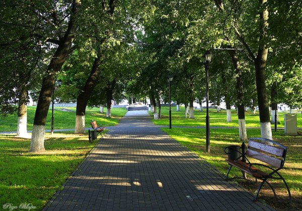 Город Владимир Пушкинский парк