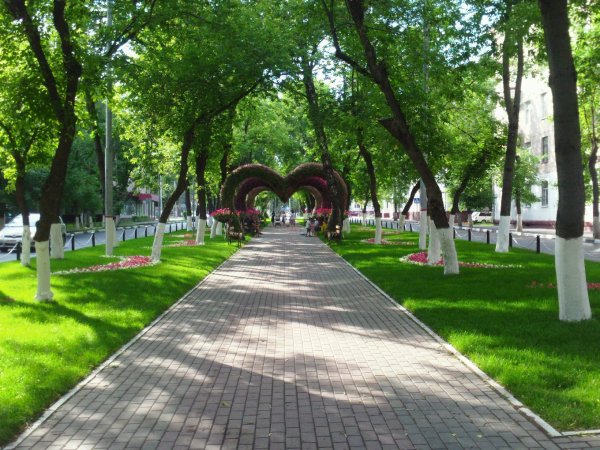 Химки аллея