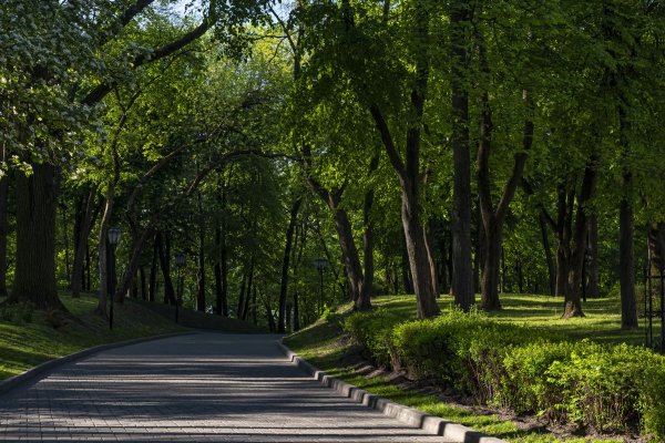 Бородин аллея парка