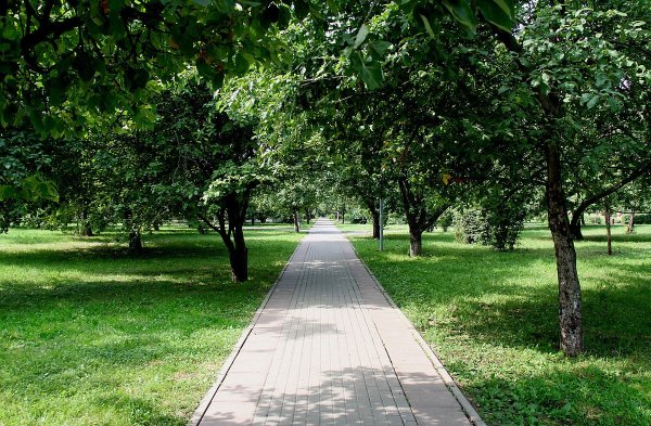 Дмитровский парк