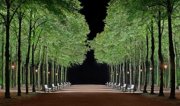 Красивая аллея в парке