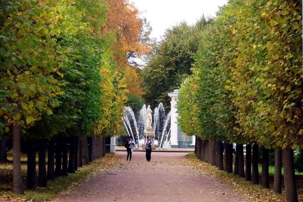 Марлинская аллея в Петергофе