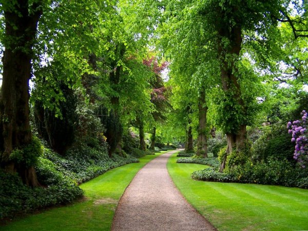 Английский пейзажный парк аллея
