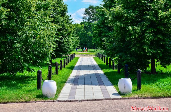 В Коломенском, аллея и усадьба.