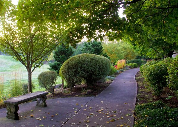 Красивый парк