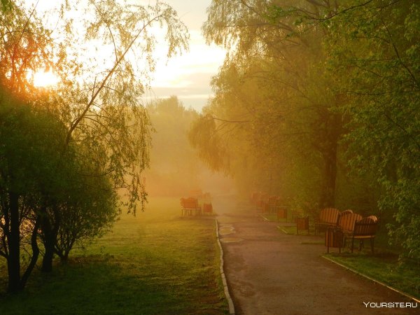 Летний рассвет в городе