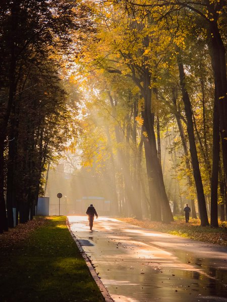 Осень парк