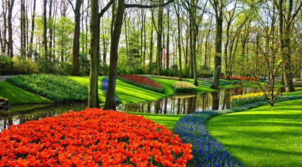 Парк «Кекенхоф» (Keukenhof) летом