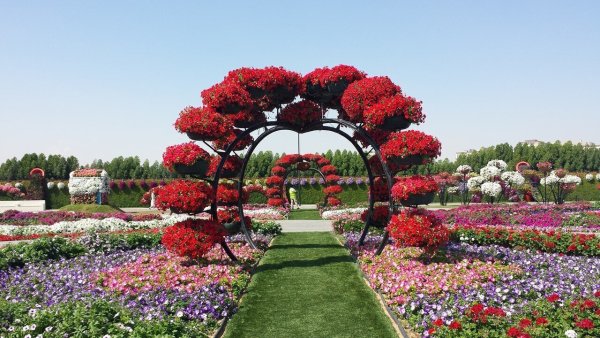 Флауэрс Гарден парк