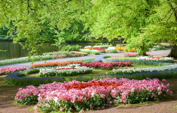 Парк «Кекенхоф» (Keukenhof) летом