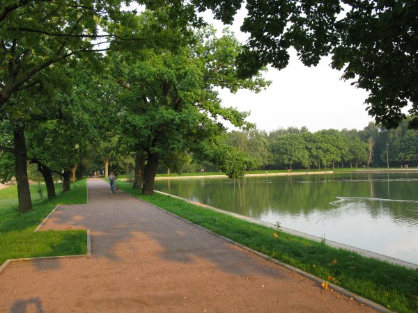 В парке летом