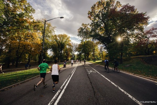 Бегать в парке