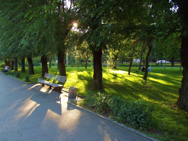 Городской парк г. Волгограда