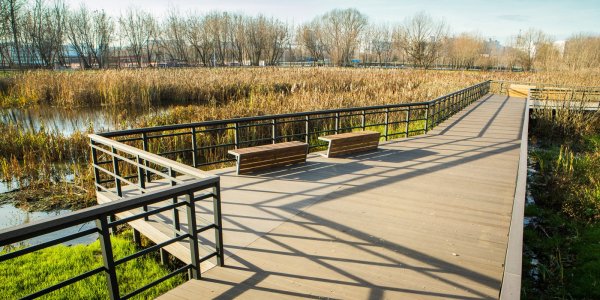 Парк в Капотне на набережной