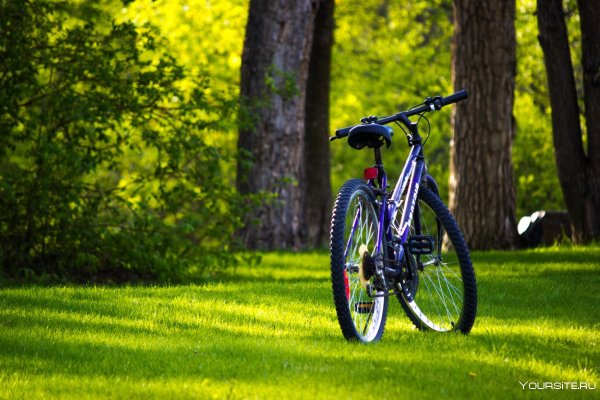 Велосипед на природе