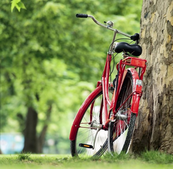 Велосипед в парке