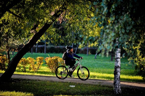 Велосипедист в парке