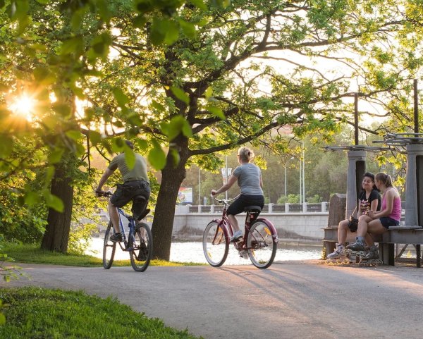 Люди отдыхают в парке