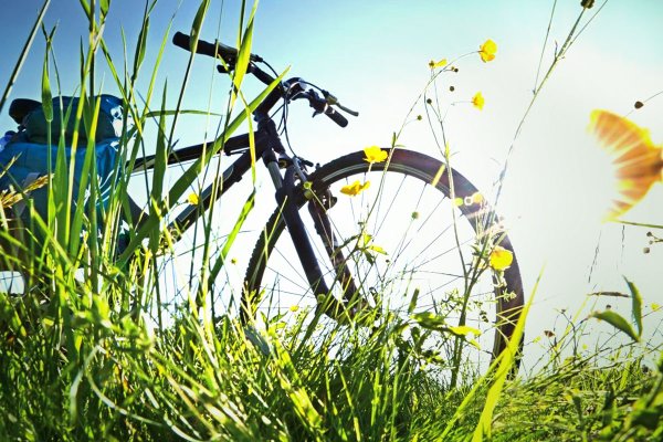 Лето велосипед