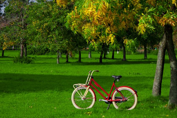 Велосипед на траве