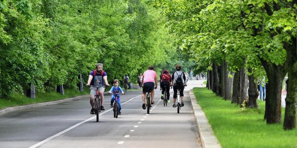 Воробьевы горы парк велодорожки