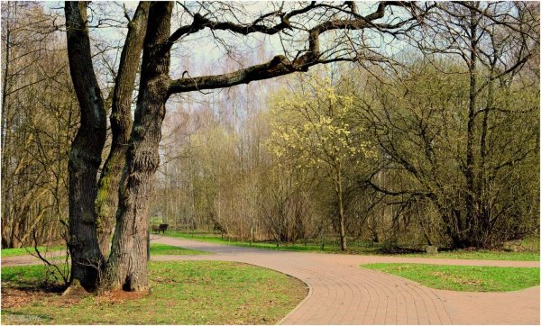 Парки в апреле