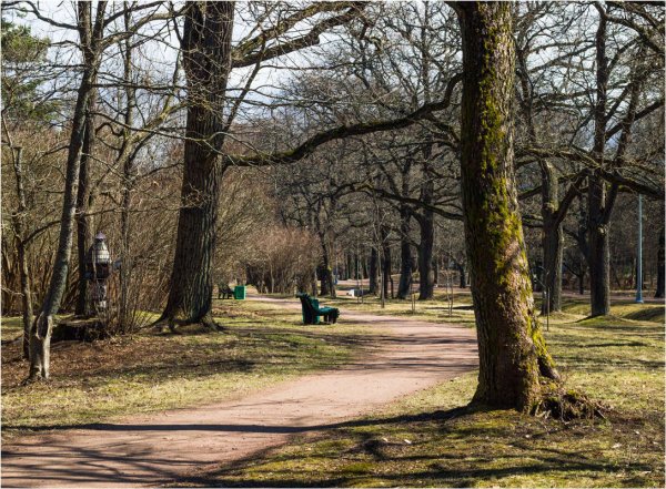 Чепошский парк в апреле