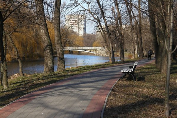 Парк ранней весной