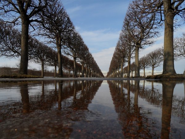 Весенний Петергоф