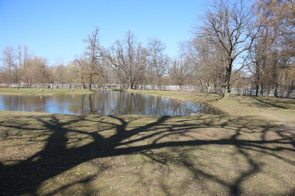 Александровский парк Весна
