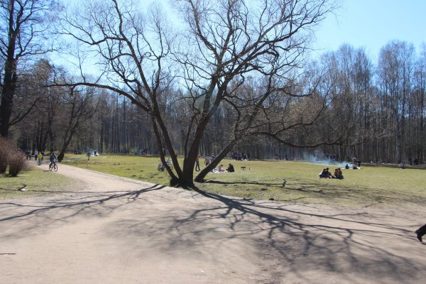 Удельный парк весной