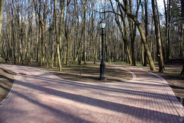 Царицынский парк лес ранней весной