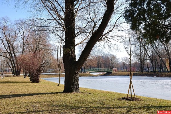 Парк ранней весной