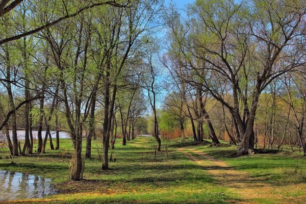 Весенний парк Россия