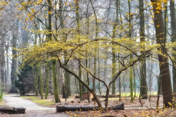 Парк ранней весной