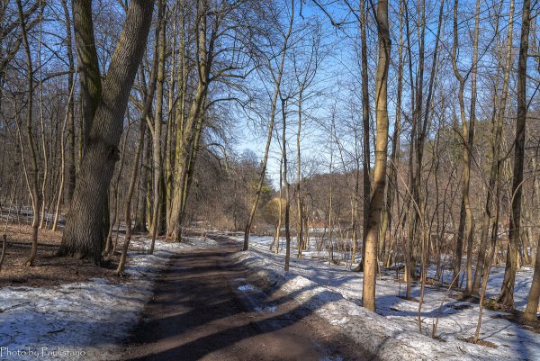 Природа Весна апрель