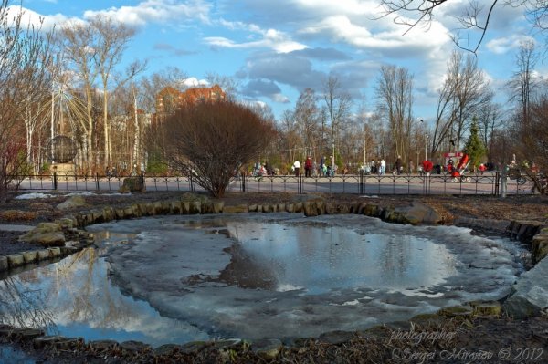 Лесопарк Мытищи весной
