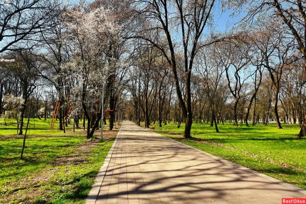 Весенний сквер