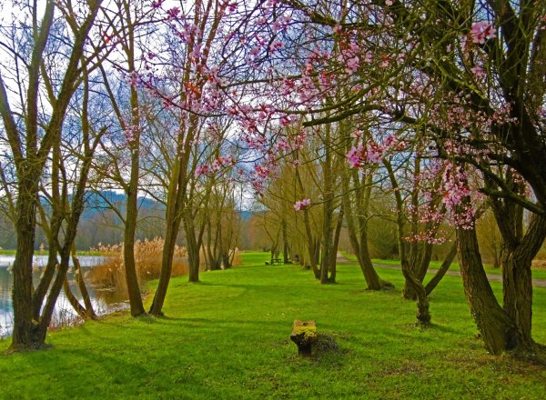 Весна в парке