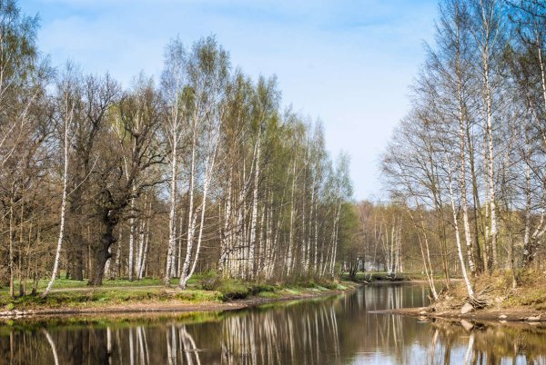 Парк ранней весной