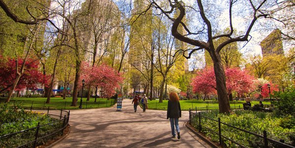 Весенний Центральный парк Нью-Йорк